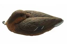 Чучело Кряква спящая